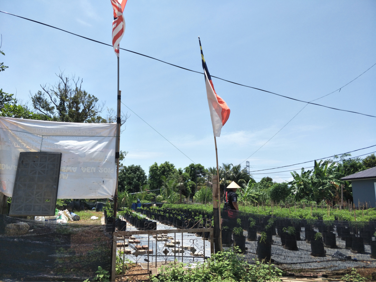 cili api Malaysia Outdoor Gear