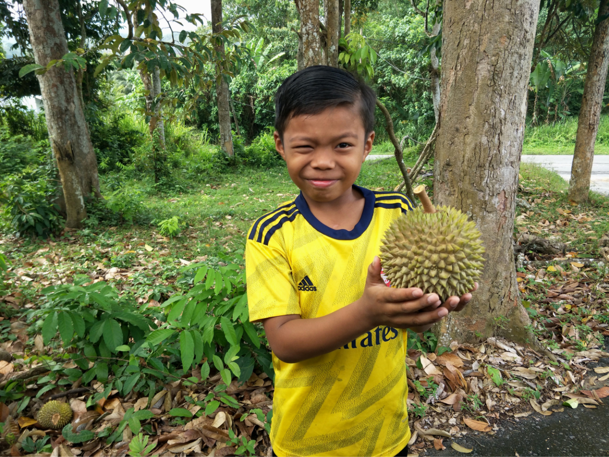Projek Bumi Hijau 10