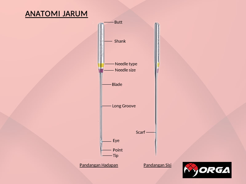 Anatomi Jarum